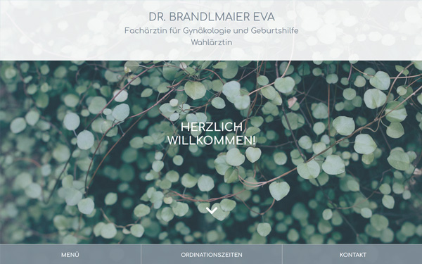 Die Website von Dr. Eva Brandlmaier